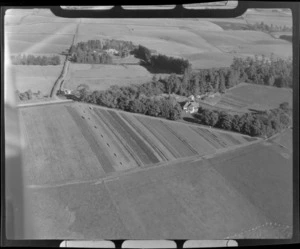 View to the Elms homestead surrounded by trees and farmland, Timaru District, South Canterbury Region