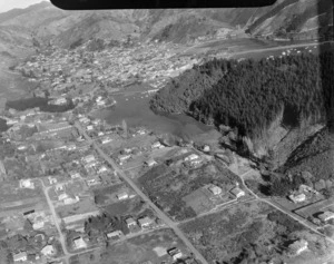 Picton, Marlborough Sounds, including housing and pine