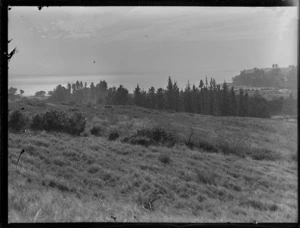 Stanmore Bay, Whangaparaoa, Auckland, including grassy area and trees,