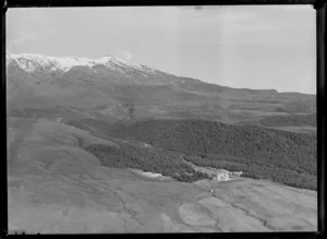 Chateau Tongariro, National Park, including Mount Ruapehu and pine plantations