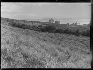 Stanmore Bay, Whangaparaoa, Auckland, showing grassy area and looking out to the bay