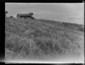 Stanmore Bay, Whangaparaoa, Auckland, showing a single-storied house and grassy bank