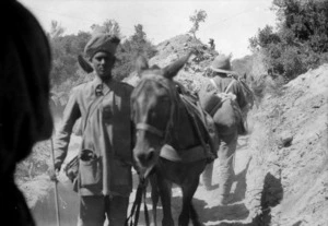 Indian man with mule, Gallipoli, Turkey