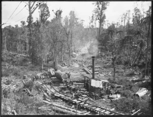 Logging railway, Northland