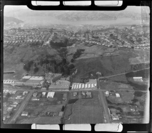 Dunedin, showing unidentified business and surrounding area