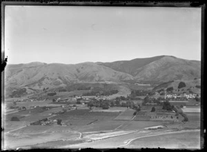 Agricultural area, including orchards, Nelson Region