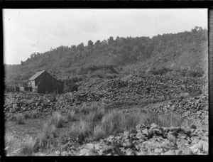 Goldmining tailings surrounding a cottage and garden with native bush covered hills beyond, South Westland, West Coast Region