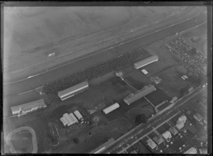 Avondale Racecourse, Auckland, showing a large crowd of people