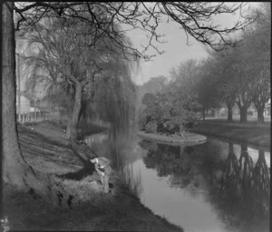 Bristol Freighter Tour, view of the Avon River with trees during autumn with an unidentified photographer in the foreground, Christchurch City, Canterbury Region