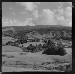 View down on a farmland valley with sheep and trees, with native forest covered hills beyond, Mahoenui district, Waikato Region