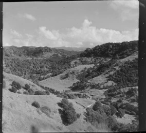 View of a mixture of farmland and bush covered hills with native forest beyond, Mahoenui district, Waikato Region