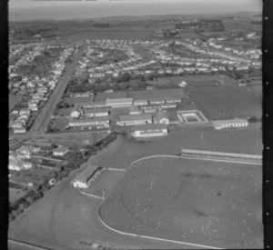 The town of Hawera with Camberwell Road, Hawera High School and King Edward Park, with the A/P Showground rugby field and sheep in foreground, South Taranaki Region