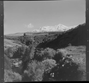 Desert Road, Tongariro National Park, including Mount Ruapehu in the background, a stream and bushes in the foreground