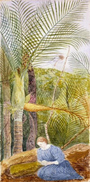 Hands, Alfred Watson, 1849-1927 :Nikau palm, areca sapida. Near Auckland. N. Z. 1887.