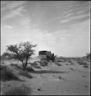A New Zealand truck passes through light scrub near Azizia, Libya, in World War II - Photograph taken by H Paton