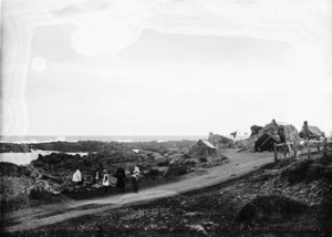 Karaka Bay, Wellington