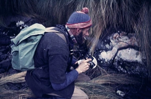 George Poppleton preparing to photograph a lichen, Campbell Island