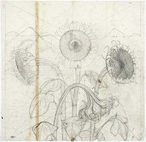 Mayo, Eileen Rosemary (Dame), 1906-1994 :[Drawing for Sunflowers painting. ca 1950]