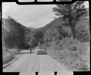 Buller, near Lyell, Includes unidentifed individuals and car on roadside.