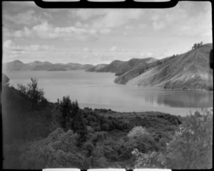 Picton, Queen Charlotte Sound, Marlborough District