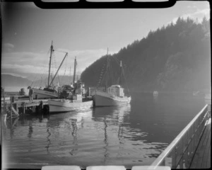 Three boats docked at Picton harbour, Marlborough District, including the 'Golden Dawn PN10' and ['PN5 Souvenir?']