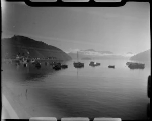 Picton harbour, Marlborough District, including ferry docked and small boats