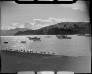 Akaroa, Banks Peninsula, showing boats in the harbour with sun shining on water, including seagulls along sea wall