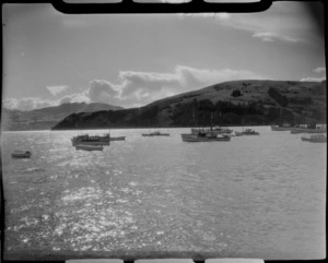 Akaroa, Banks Peninsula, showing boats in the harbour with sun shining on water