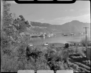 Picton harbour, Marlborough District, including boats, boat shed and bush area