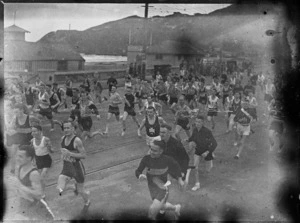 Harriers running at Lyall Bay, Wellington