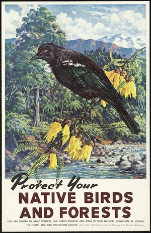 New Zealand Railways. Publicity Branch: Protect your native birds and forests. You are invited to assist preserve our forest reserves and birds in their natural condition, by joining the Forest and Bird Protection Society / Railways Studios [1960s?]