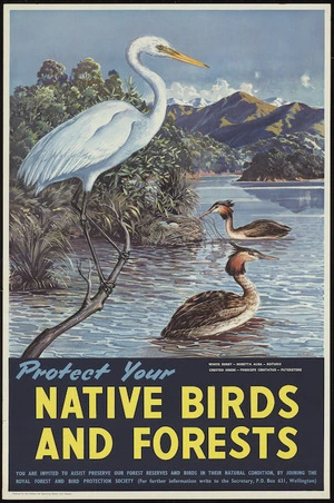 Poulton, Maurice Alec, 1909-1983 :Protect your native birds and forests. Produced by the Publicity and Advertising Branch, N.Z. Railways [ca 1965?]