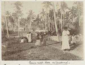 Scene on Niue Island