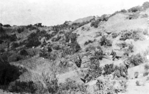 View of Taylor's Hollow, Gallipoli, Turkey