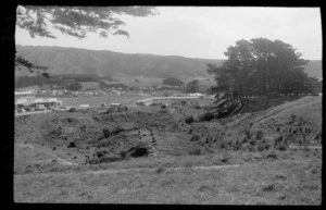 Mungavin Park, Porirua