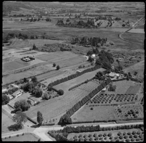 Land, including orchards, off Carmichael Road, Tauranga