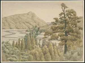 Moore, John Lysaght, 1897-1965 :Old white pine at Te Mara, Kenepuru Sound. [1940-1950s]