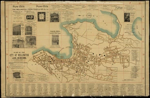 Plan of the city of Wellington and suburbs / by Thomas Ward.