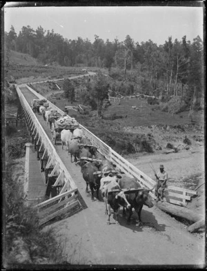 Bullock teams hauling carts over a bridge