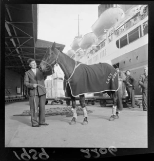 A horse, 'Lady Shona', being led onto an interisland ferry, Wellington