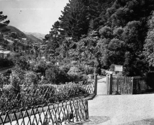 Botanical Gardens, Kelburn, Wellington