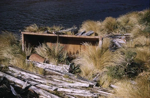Remains of whaling station, North East Harbour, Campbell Island