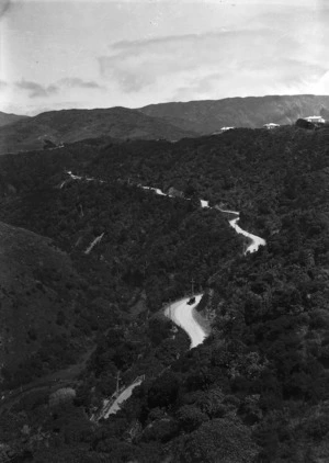 View of Ngaio Gorge, Wellington