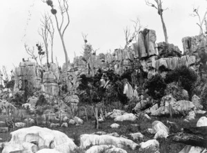 Cowdell, J T fl 1890s-d 1907 : Limestone rocks at Hikurangi, Northland