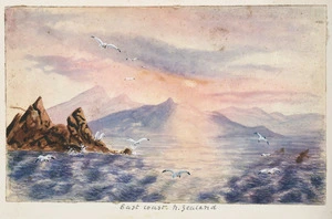 [Yarborough, Gertrude Flora Cooke], fl 1870-1917 :East Coast, N Zealand [1877-1881?]