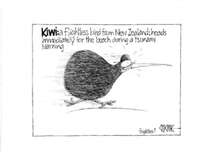 Kiwi - a flightless bird from New Zealand; heads immediately for the beach during a tsunami warning. 2 October 2009