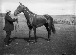 George Tuuta with a race horse