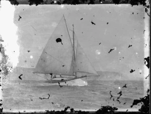 Yacht under sail on Wellington Harbour - taken by an unknown photographer