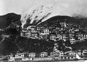 Mount Victoria and Oriental Bay, showing a bush fire