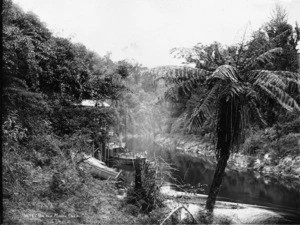 Scene alongside the Mokau River, with scrub, tree fern, and boat